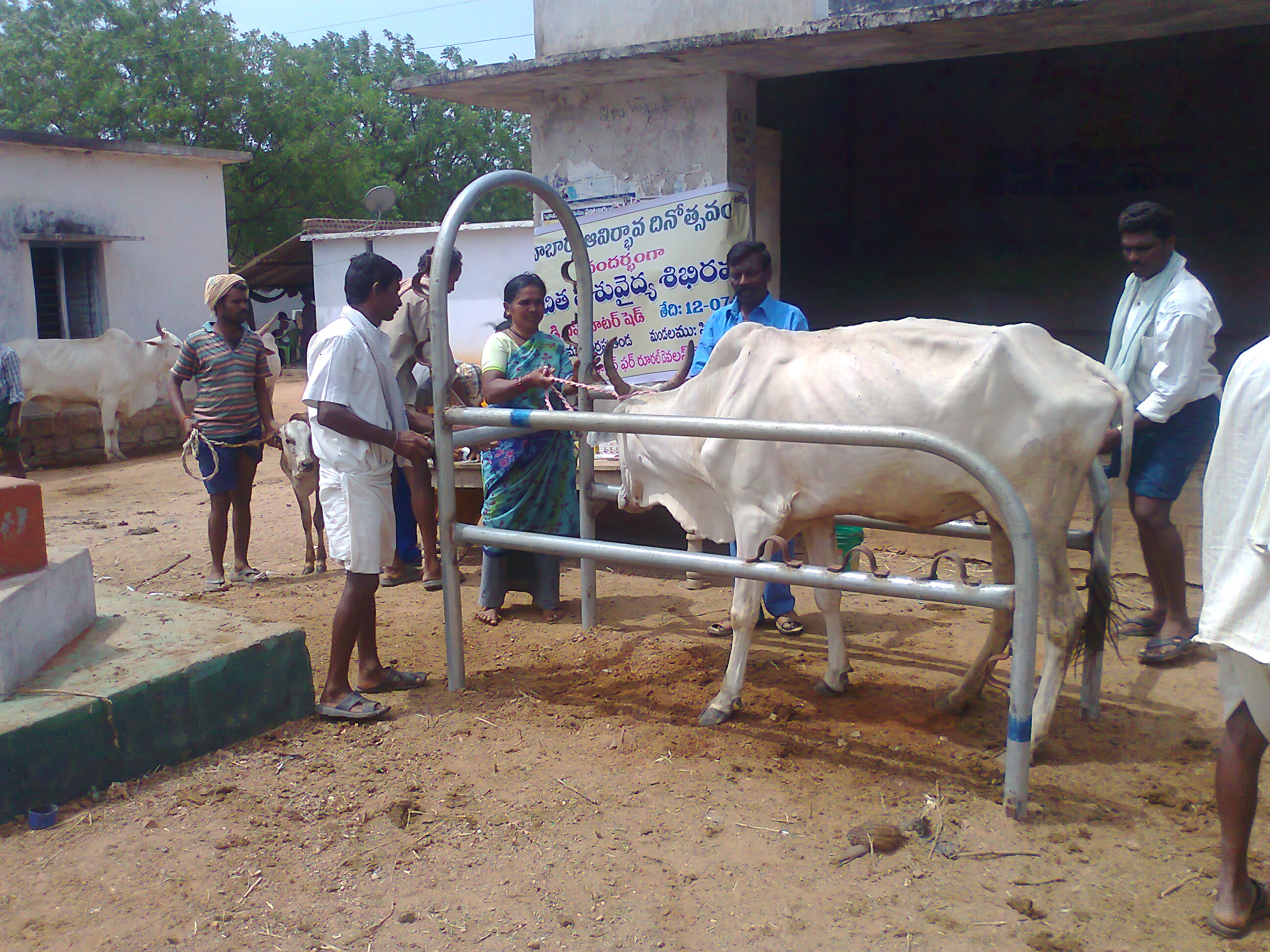 https://1ngo.sgp1.digitaloceanspaces.com/media/ards/Free animal health camps on NABARD foundation day.jpg